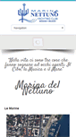 Mobile Screenshot of marinadelnettuno.it